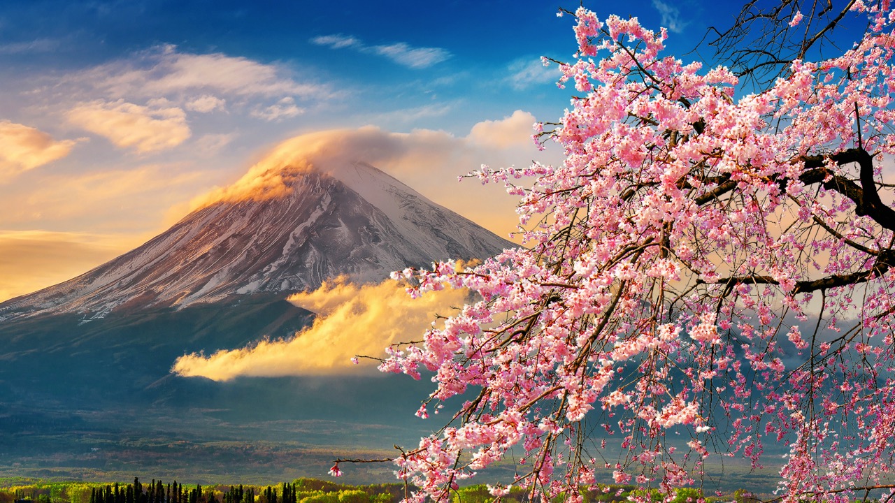 Fuji mountain and cherry blossoms in spring, Japan.